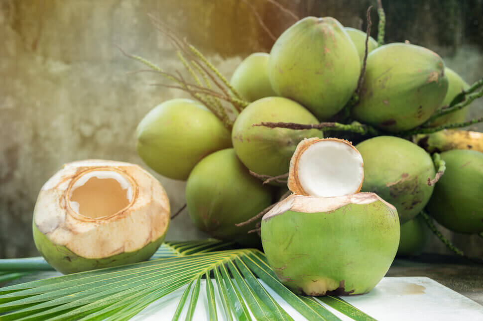 Punya Banyak Manfaat, Daging Buah Kelapa Juga Baik Untuk Pencernaan