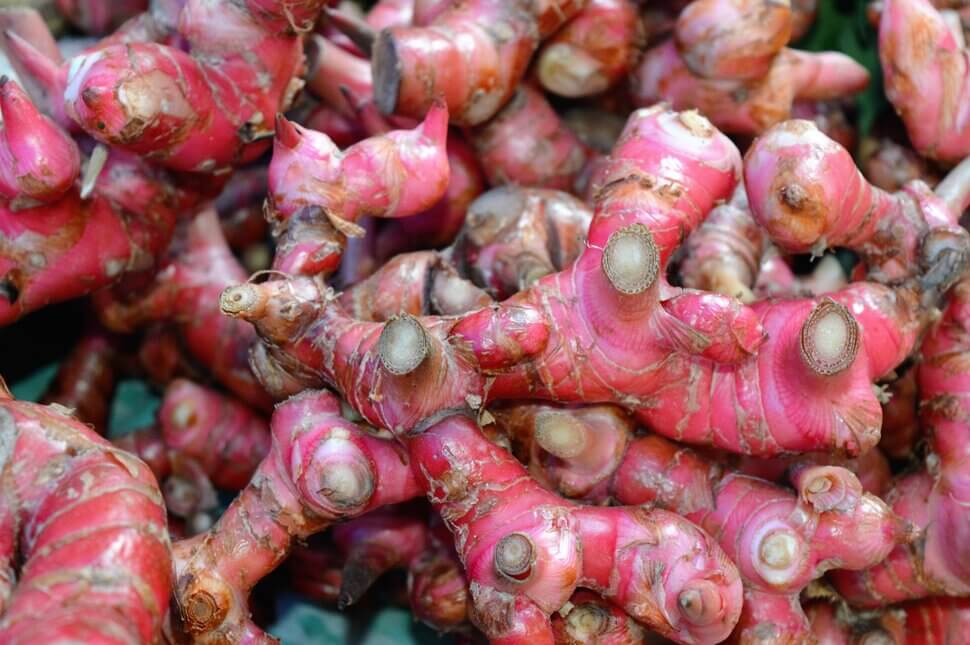 Sering Dijadikan Obat Herbal, Ini Perbedaan Jahe Merah dan Jahe Putih
