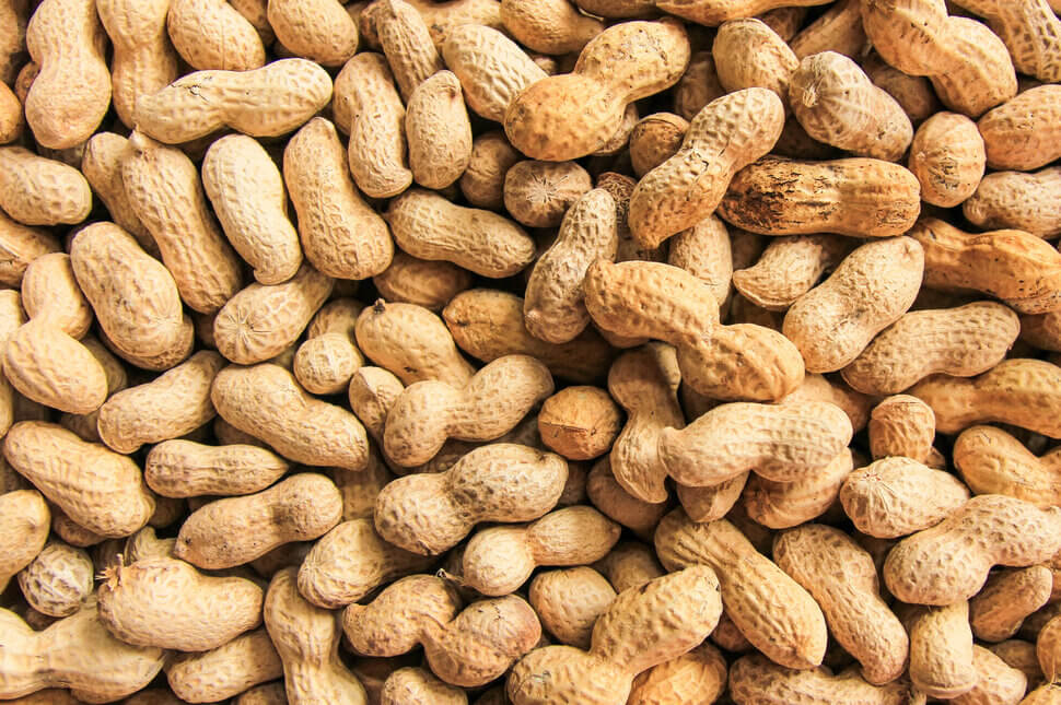 Suka Ngemil Kacang Tanah. Ini Manfaatnya Bagi Kesehatan